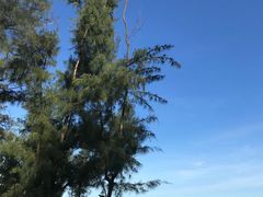 -西涌国际滨海旅游区