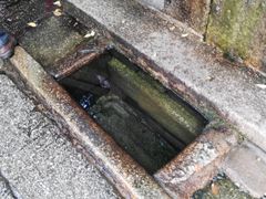 -白沙古井