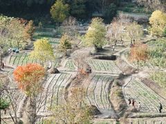 -塔川景区