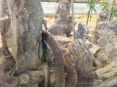 -荔城生鲜盛宴(番禺旗舰店)