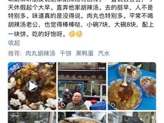 -刘老虎肉丸糊辣汤(总店)