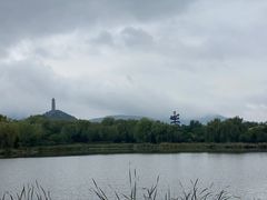 -北坞公园