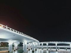 -演武大桥观景平台