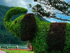 -广州市石门国家森林公园