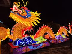 -淄博花灯齐彩城