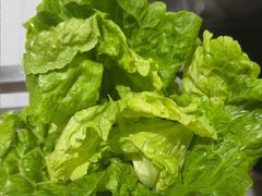 -宴全牛粤来越牛潮汕鲜牛肉火锅(海州万达广场店)