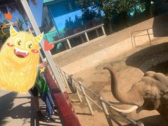 -西霞口神雕山野生动物世界