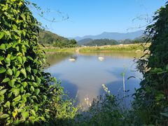 -福建土楼（华安）旅游区•大地土楼群