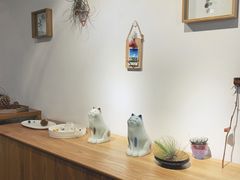 -猫里有甜