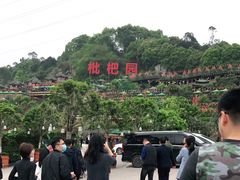 -枇杷园食为鲜火锅(南山店)