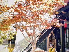 -禧宴Joyous Restaurant(禧园店)