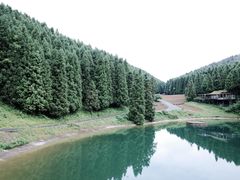 -武陵山森林公园