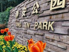 -静安公园(静安寺街道)
