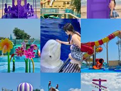 -秦皇岛乐岛海洋王国