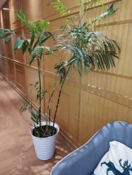 -重庆星宸整形美容医院