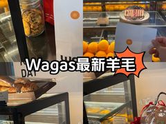 -Wagas沃歌斯(环贸店)