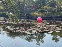 -广州莲花山旅游区