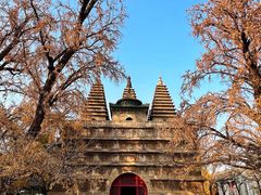 -北京石刻艺术博物馆(五塔寺)