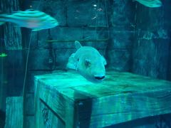 -沈阳海洋探索中心