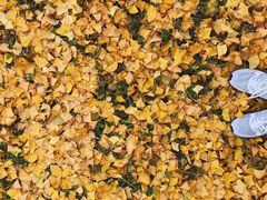 -辽东学院(南校区)