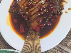 -林之六八·6886大连老菜馆