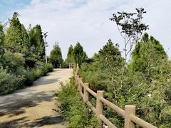 -府君山公园