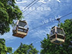 -广州长隆野生动物世界