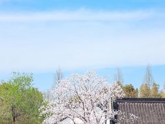 -尚湖风景区