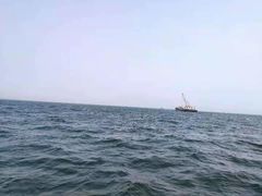 -五缘湾游艇帆船俱乐部