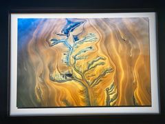 -罗红摄影艺术馆