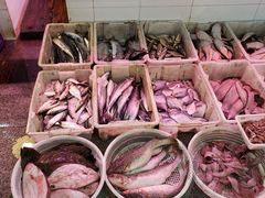 -华阳海鲜市场(府西路店)