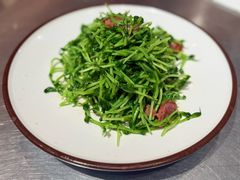 鸡油腊味炒豆苗-潮界(虹桥新天地店)