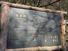 -王顺山国家森林公园