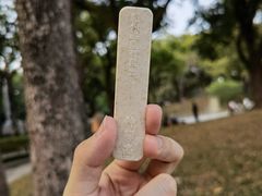 -钟薛高(南头古城店)