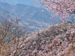 -妙峰山风景名胜区