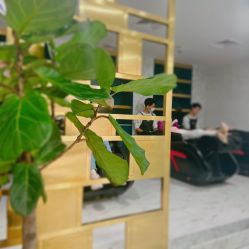 -3AM HAIR SALON染发接发