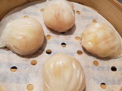 -春满园·早茶·粤菜·宴会(喜宴店)