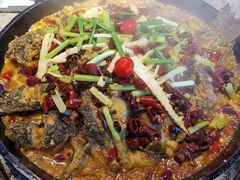 -老板恋上鱼(恒隆广场店)