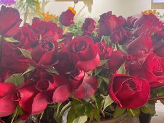 -花落谁家(景瑞曦城店)