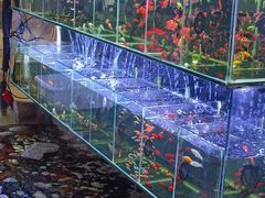 -三圣花乡旅游区