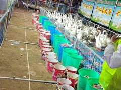 -东戴河风景区-止锚湾