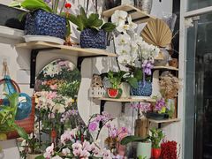 -FEI FEI FLOWER鲜花店·气球派对·宝宝宴布置(虹口德必运动Loft店)