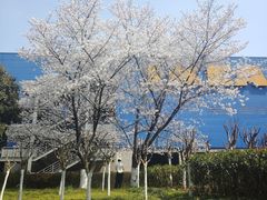 -IKEA宜家家居(南京商场)