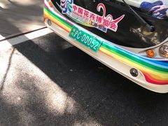 -东平国家森林公园