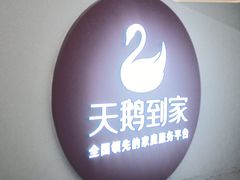 -天鹅到家·保姆月嫂育儿嫂(朝阳店)