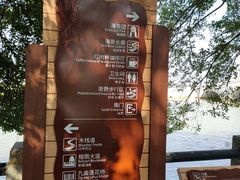 -大湾区中央湿地公园