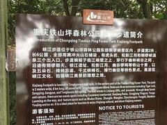 -铁山坪森林公园