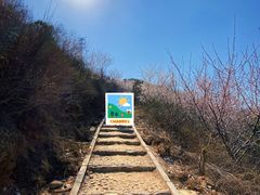 -定都峰