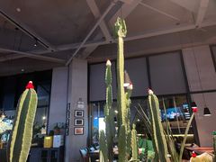 -West10 西拾·西餐厅·创意菜(未来科技城店)