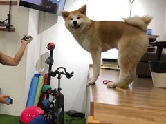 -YCHL Studios健身工作室(市二宫店)